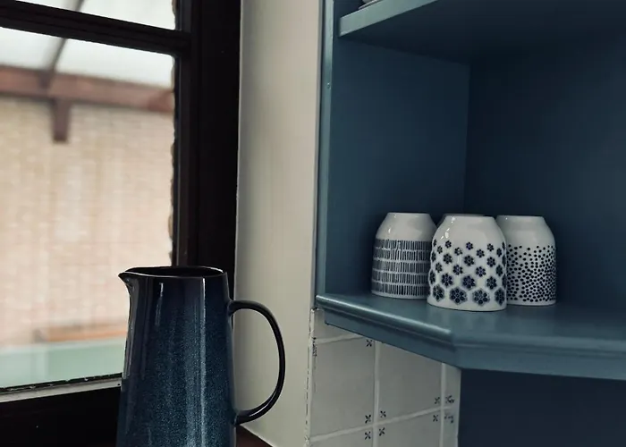 Oni Met Grote Speelruimte Koksijde