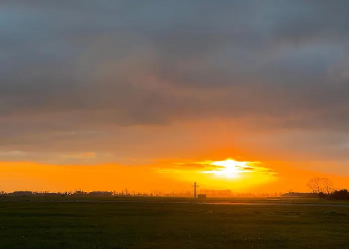 Oni Met Grote Speelruimte